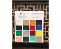 SARDONLU VE SARDONSUZ DALGIÇ