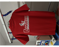 baskı dtf transfer baskı işleri yapılır